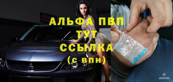 мяу мяу мука Баксан